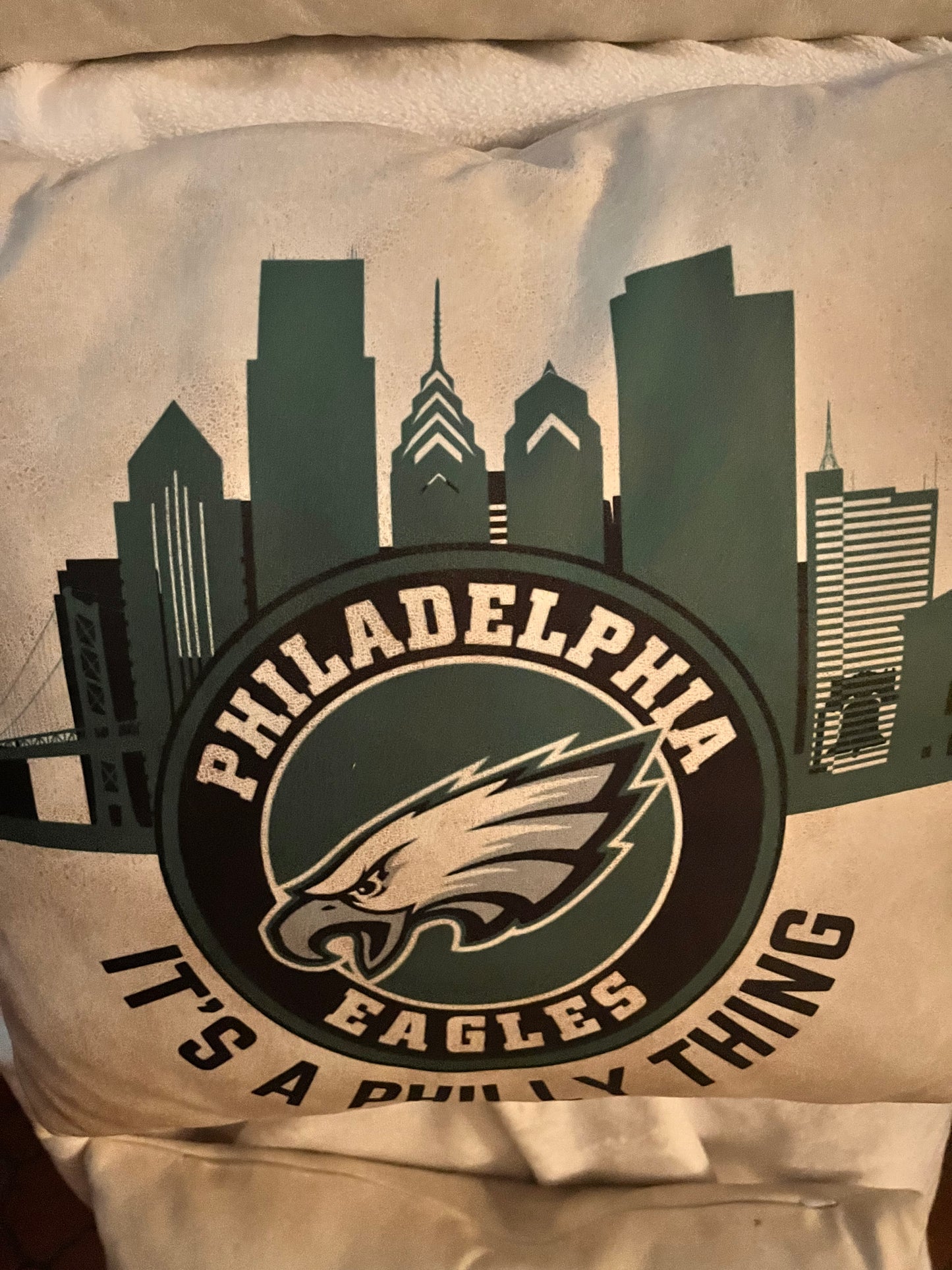 PHILADELPHIA EAGLES PILLOW